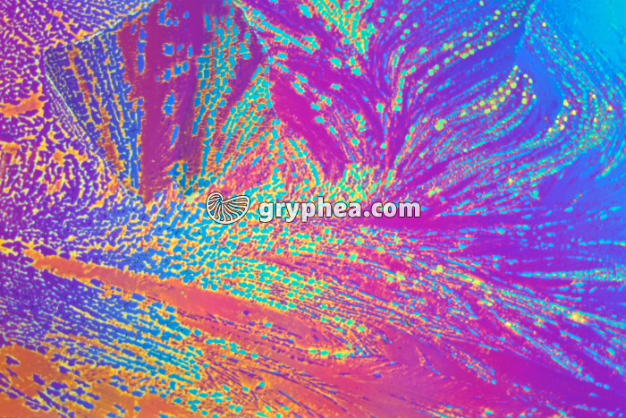 Soufre (cristallisation) LPA x25 - gryphea.org